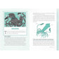 CATCHING CRYPTIDS: THE SCIENTIFIC SEARCH FOR MYSTERIOUS CREATURES BY KIM LONG AND ILLUSTRATED BY NICOLE MILES