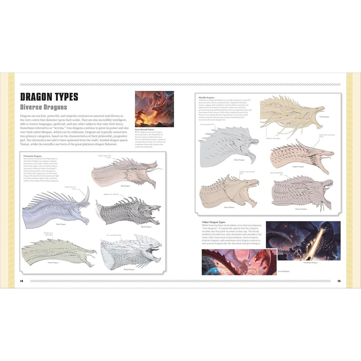 D&D: THE BOOK OF DRAGONS (A DK BOOK)