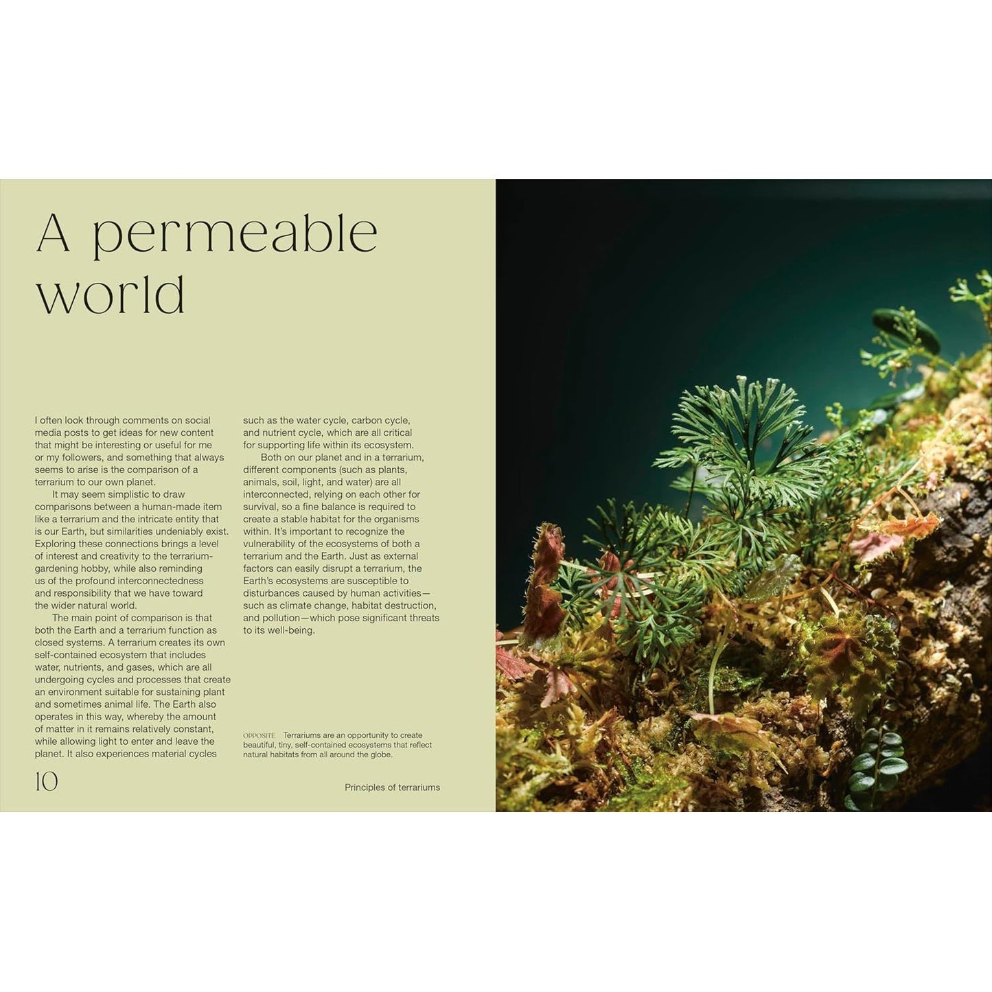 HELLO TINY WORLD BY BEN NEWELL