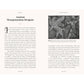 POCKET BOOK OF DRAGONS: MYTH, MAGIC, & MEANING BY JOEL LEVY