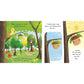 NATURES STORIES: LITTLE ACORN BY IGLOOBOOKS AND GISELA BOHÓRQUEZ