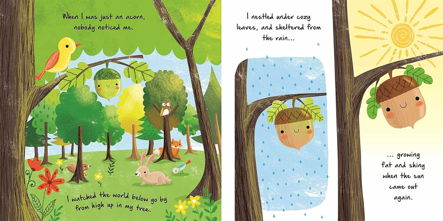 NATURES STORIES: LITTLE ACORN BY IGLOOBOOKS AND GISELA BOHÓRQUEZ