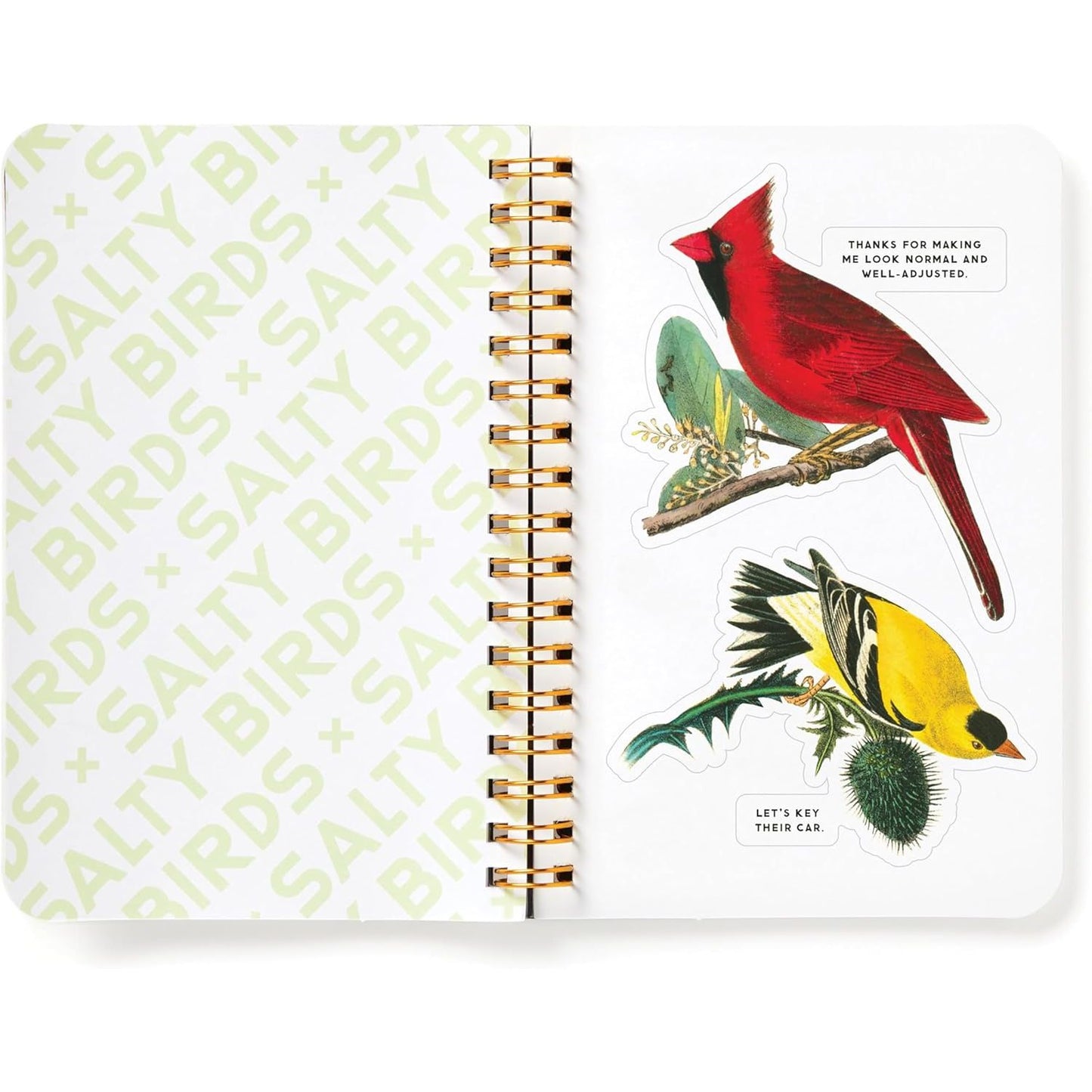 SALTY BIRDS STICKER BOOK