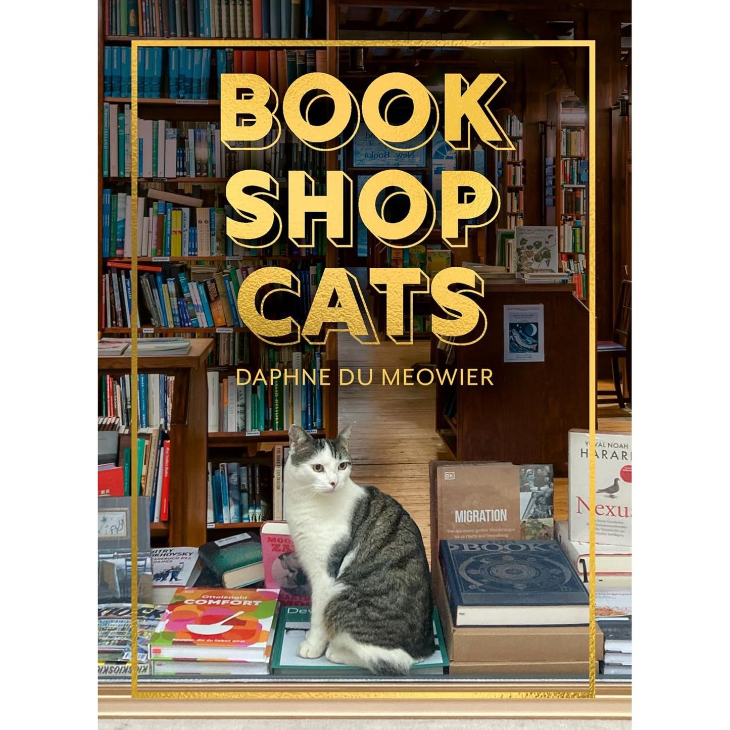 BOOKSHOP CATS BY DAPHNE DU MEOWIER