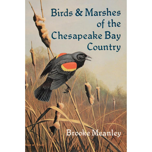 BIRDS & MARSHED OF THE CHESAPEAKE BAY COUNTRY BY BROOKE MEANLEY