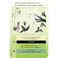ESCAPE FROM THE EVIL GARDEN AN EDWARD GOREY BOARD GAME