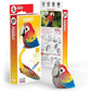 EUGY PARROT