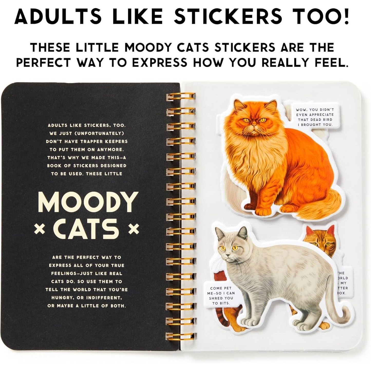 MOODY CATS STICKER BOOK