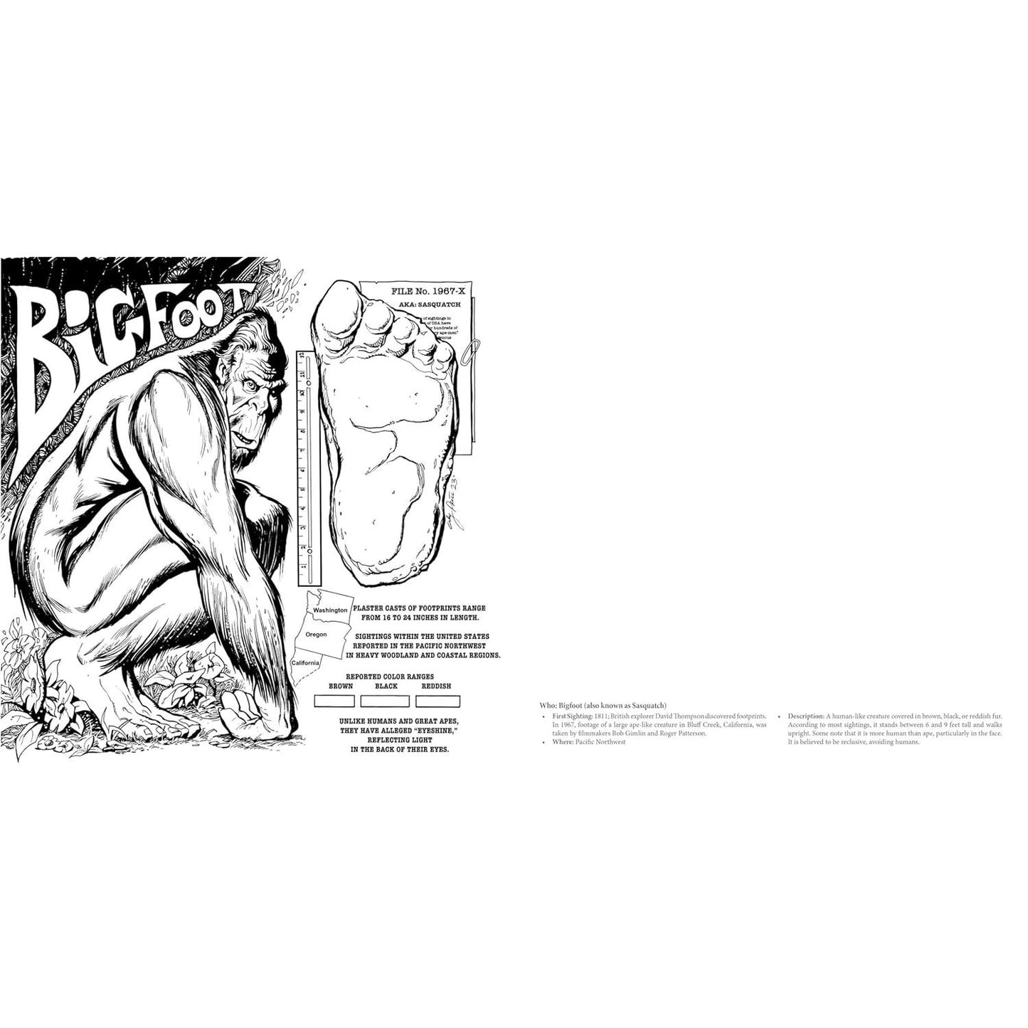 CRYPTID CREATURES COLORING BOOK