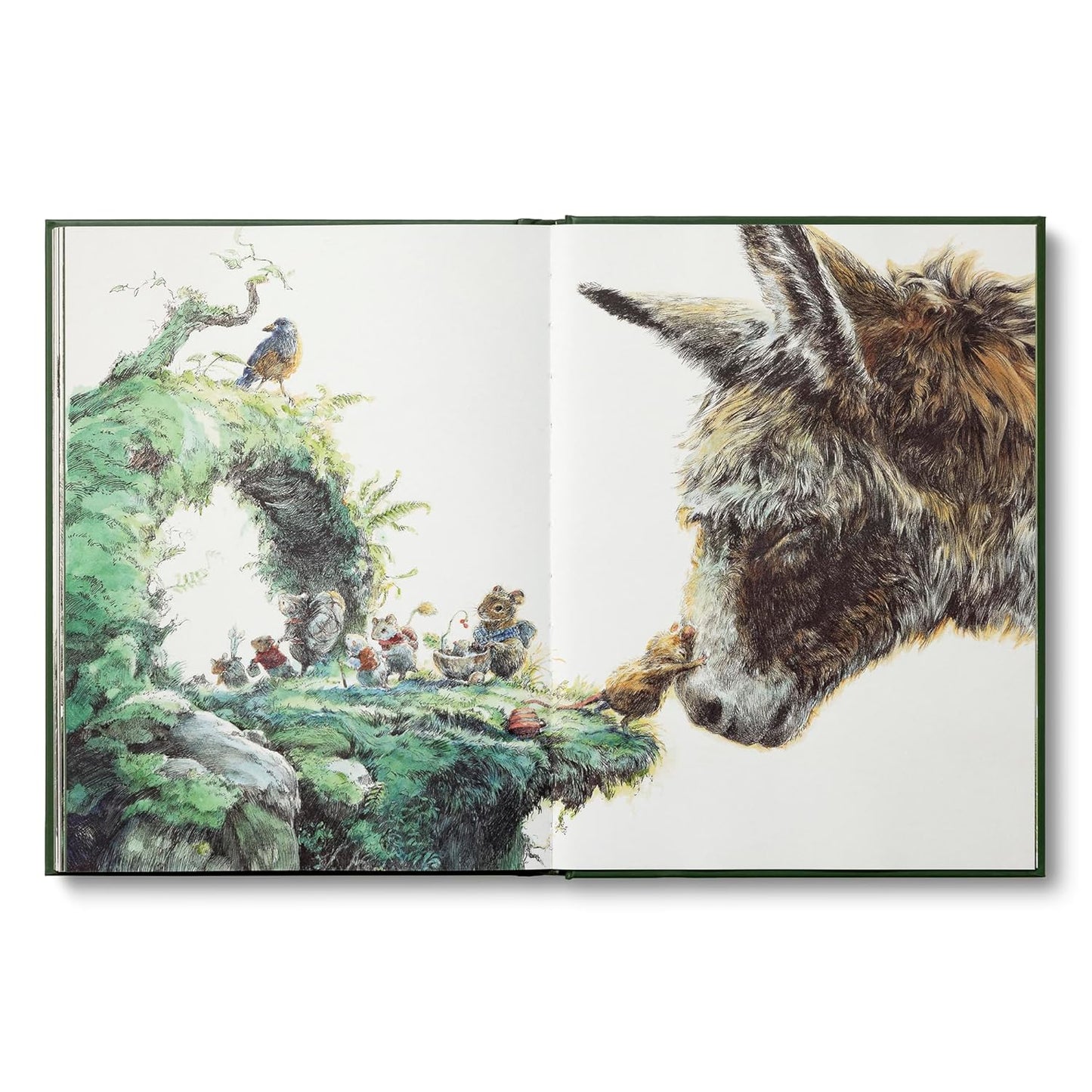 THE STORYTELLER'S ALMANAC CREATED BY ELIZE HURST