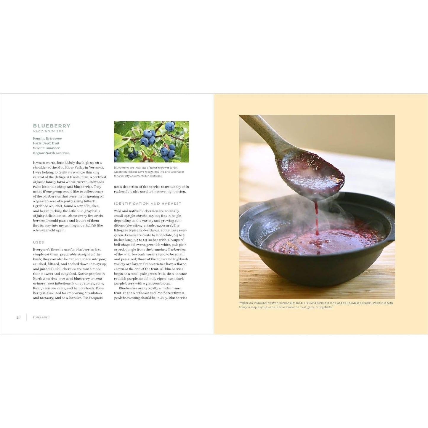 IWIGARA: THE KINSHIP OF PLANTS AND PEOPLE, AMERICAN INDIAN ETHNOBOTANICAL TRADITIONS AND SCIENCE BY ENRIQUE SALMON