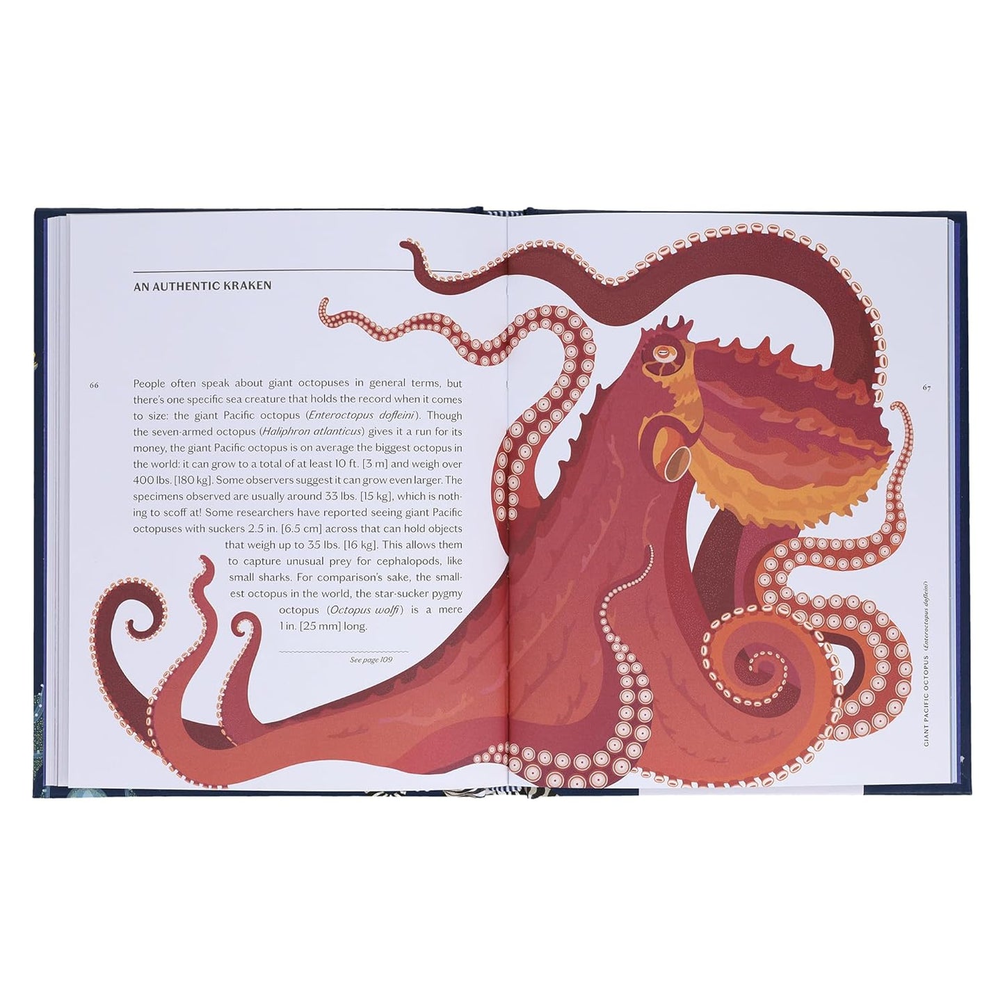 SEA WONDERS: THE OCTOPUS, THE CUTTLEFISH, AND THE SQUID BY MARCO COLOUMBO & FRANCESCO TOMASINELLI WITH ILLUSTRATIONS BY GIULIA DE AMICIS