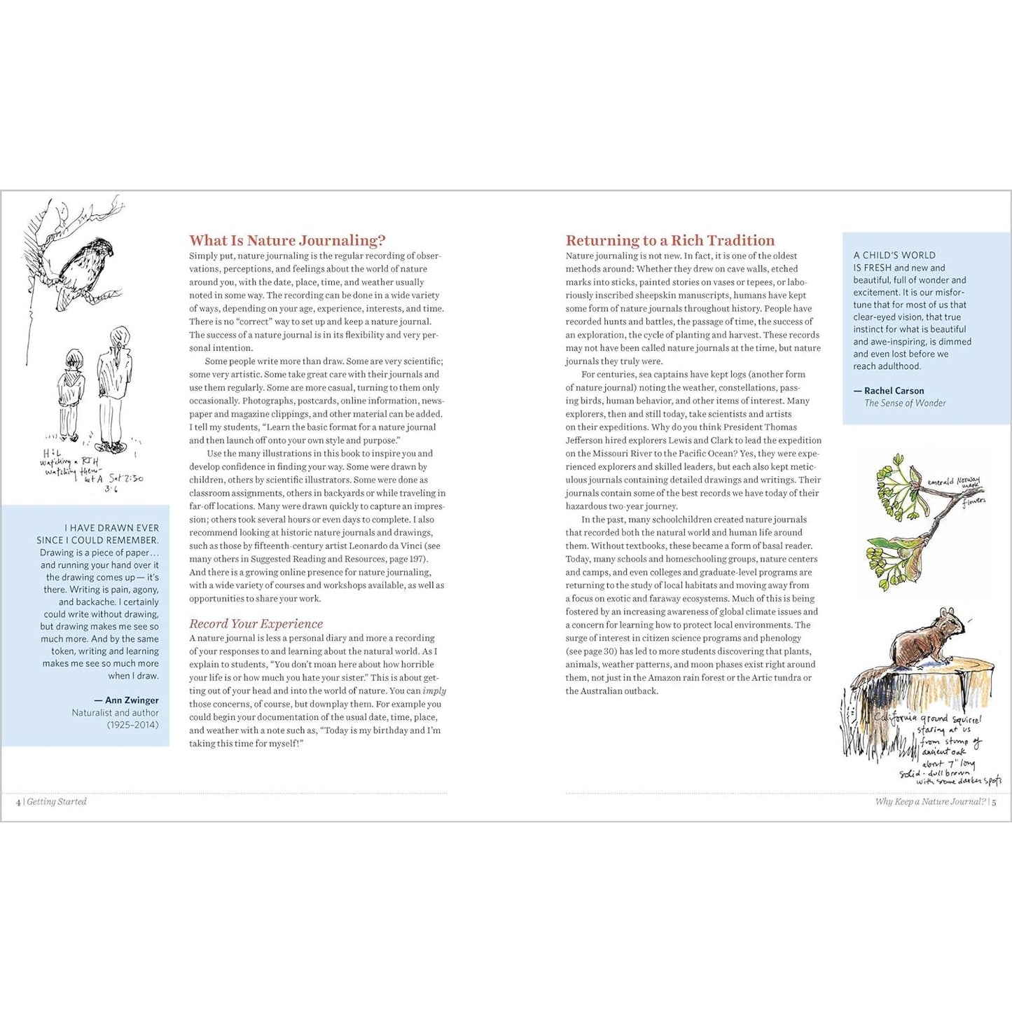 KEEPING A NATURE JOURNAL BY CLARE WALKER LESLIE