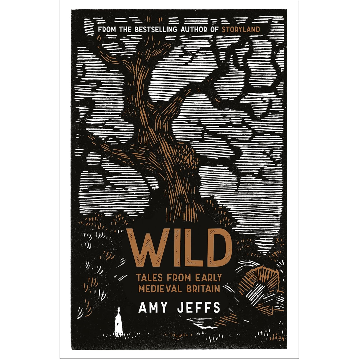 WILD: TALES FROM EARLY MEDIEVAL BRITAIN BY AMY JEFFS