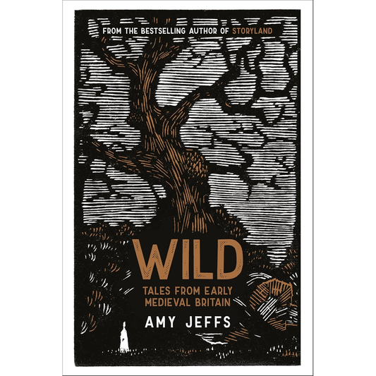 WILD: TALES FROM EARLY MEDIEVAL BRITAIN BY AMY JEFFS