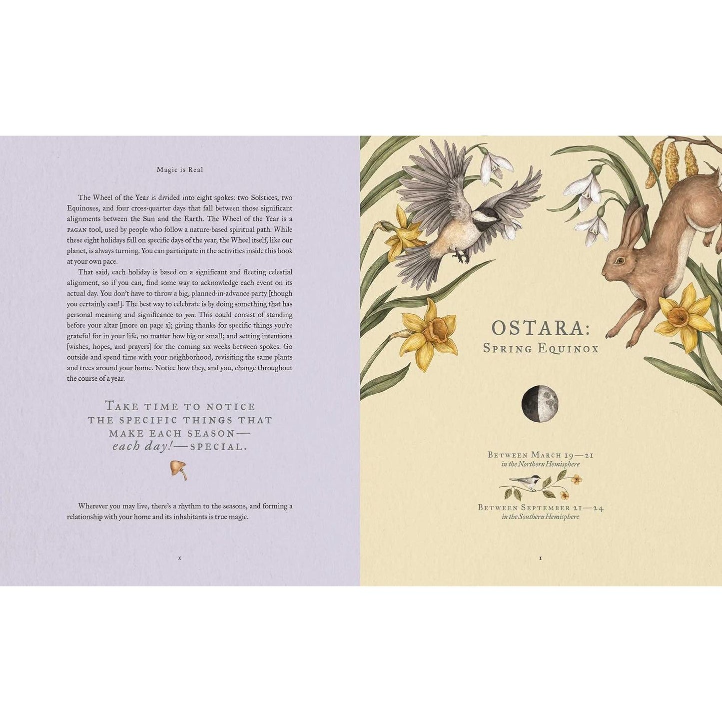 THE WHEEL OF THE YEAR: AN ILLUSTRATED GUIDE TO NATURE'S RYTHMS BY FIONA COOK AND JESSICA ROUX