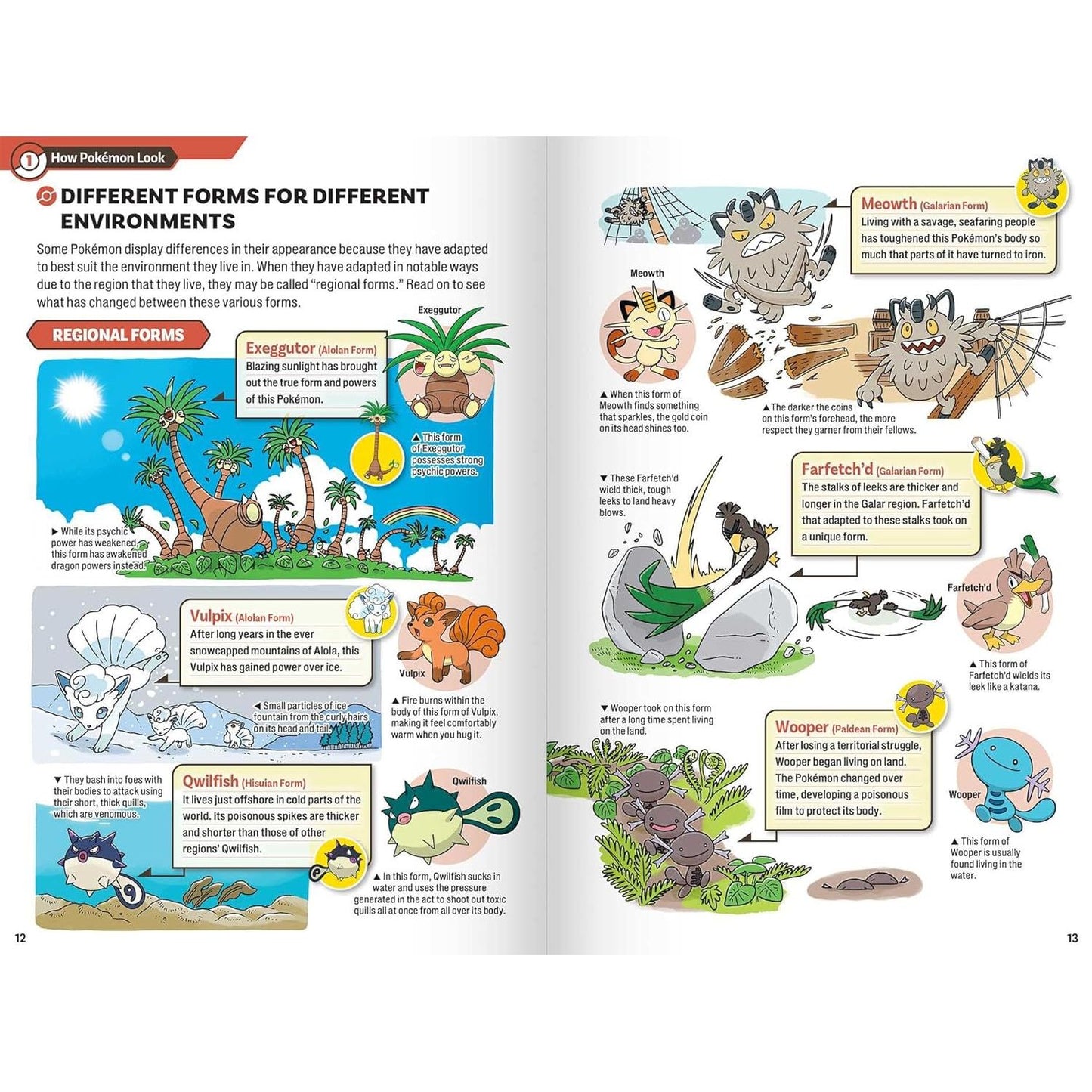 POKÉCOLOGY AN ILLUSTRATED GUIDE TO POKÉMON ECOLOGYBY POKEMON PIKACHU PRESS