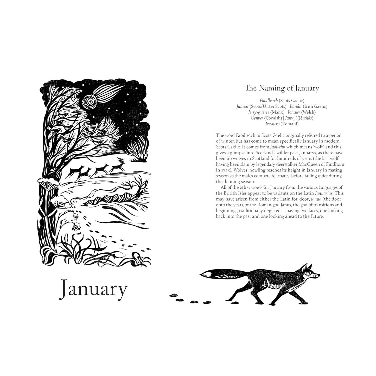 A YEAR IN STORY AND SONG BY LIA LEENDERTZ