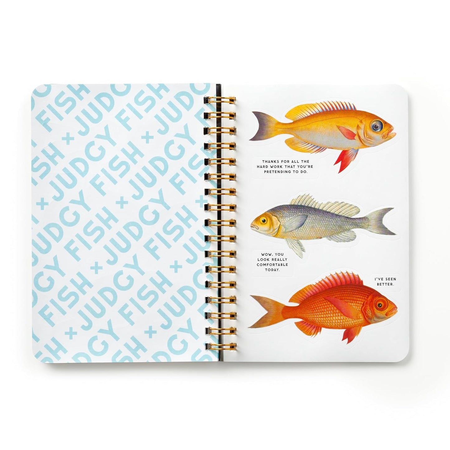 JUDGY FISH STICKER BOOK