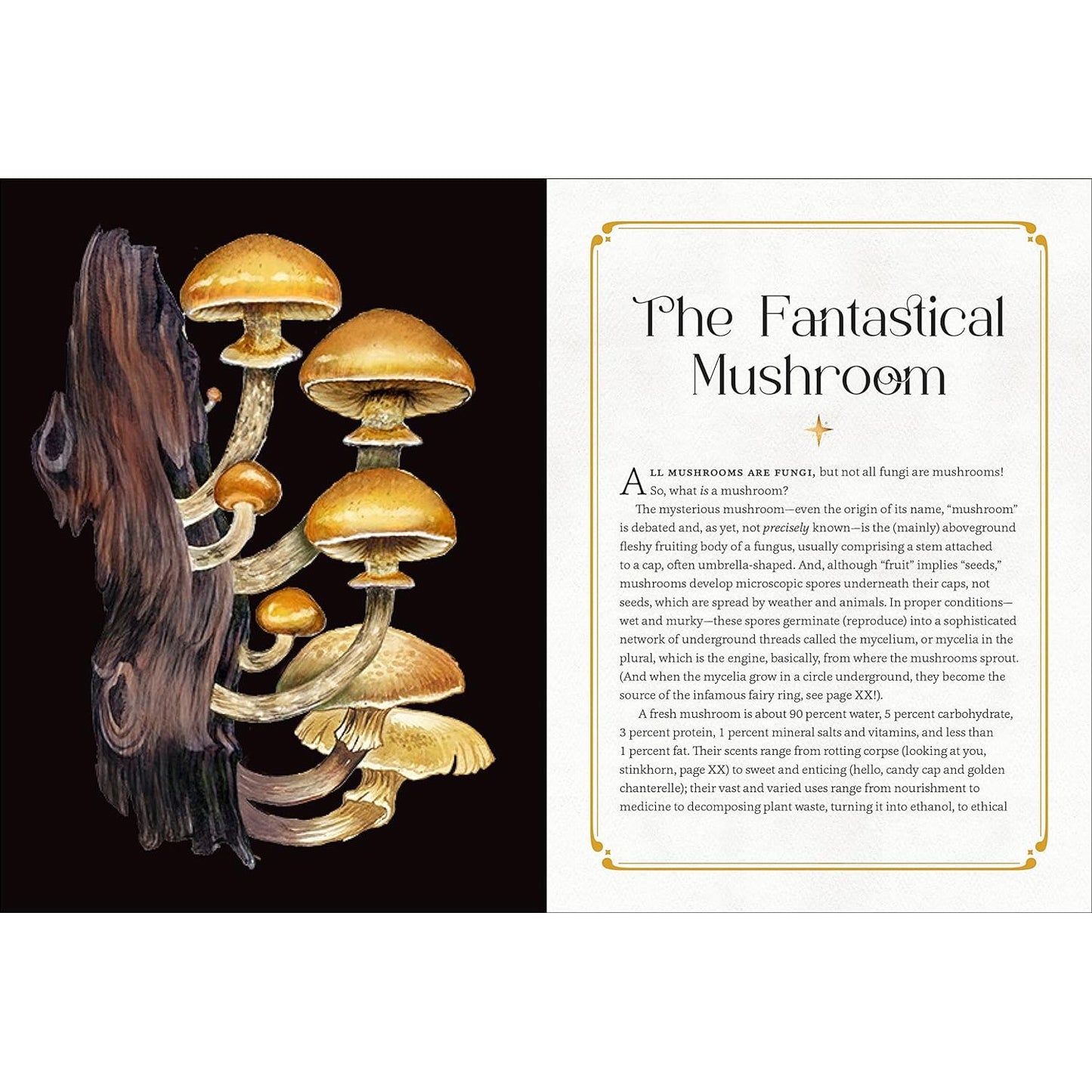 MYSTICAL MUSHROOMS BY AURORA KANE