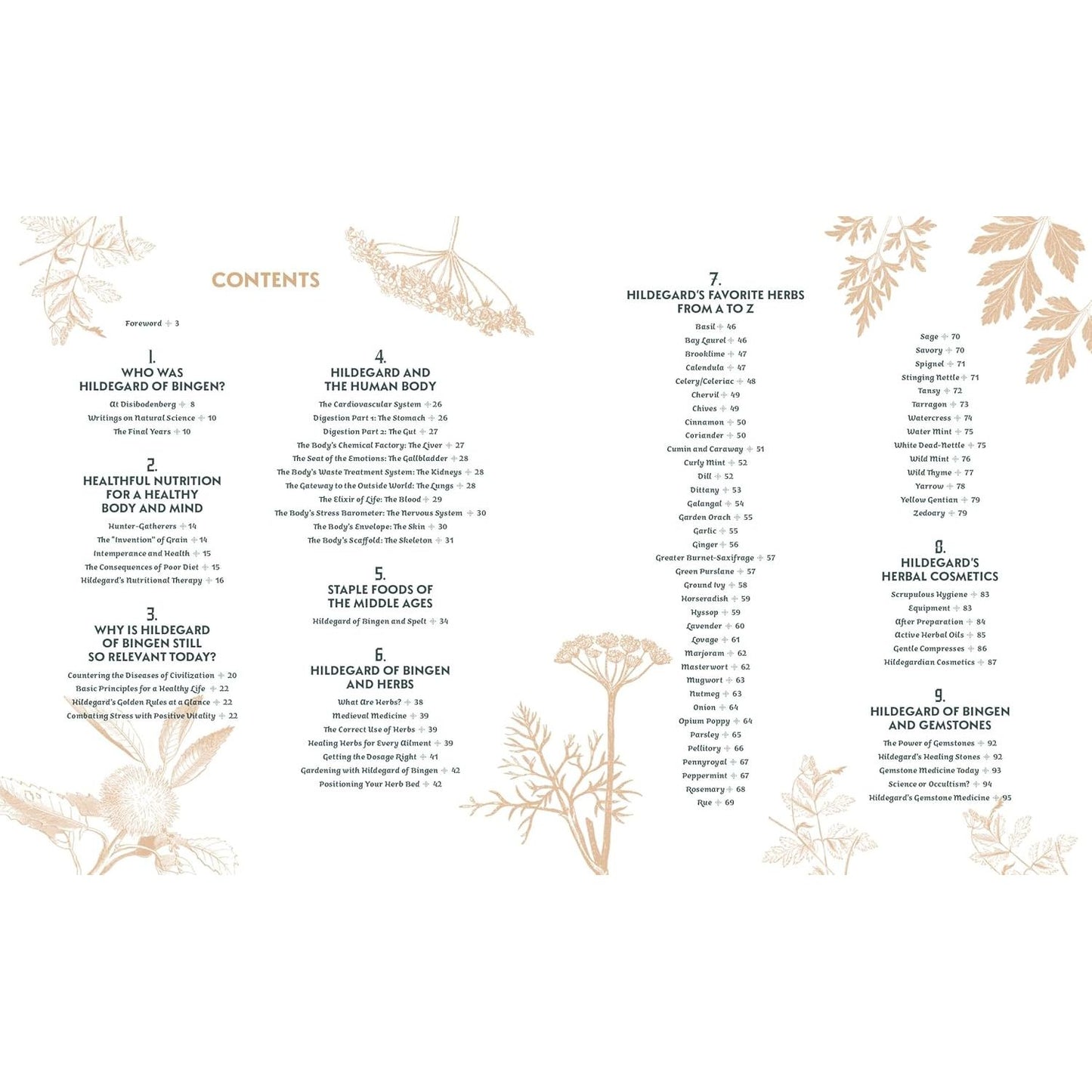 SAINT HILDEGARD'S GUIDE TO WELLNESS: HERBALISM, NUTRITION, AND HEALTH ADVICE FROM A TRAILBLAZING NUN BY HOLGER VORNHOLT