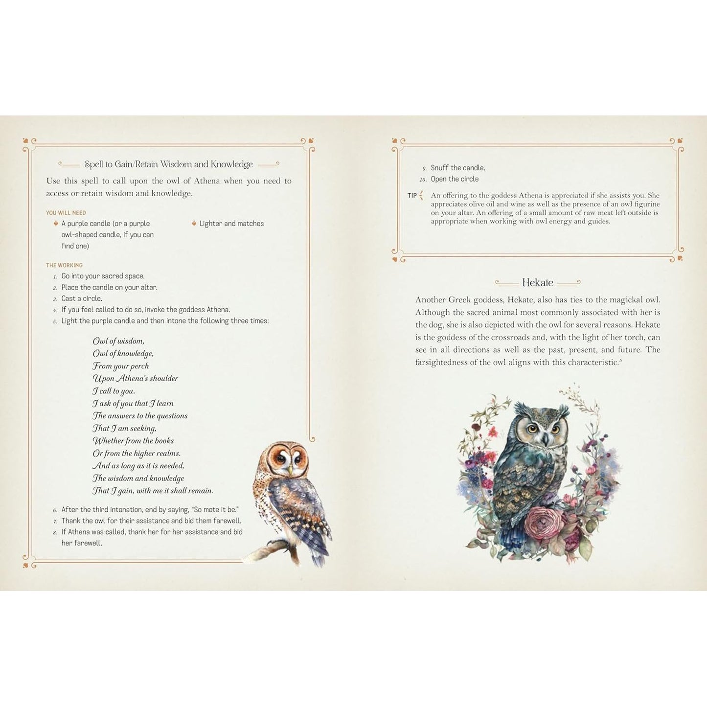 OWL MAGICK BY RIEKA MOONSONG