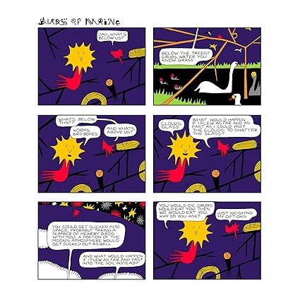 BIRDS OF MAINE GRAPHIC NOVEL