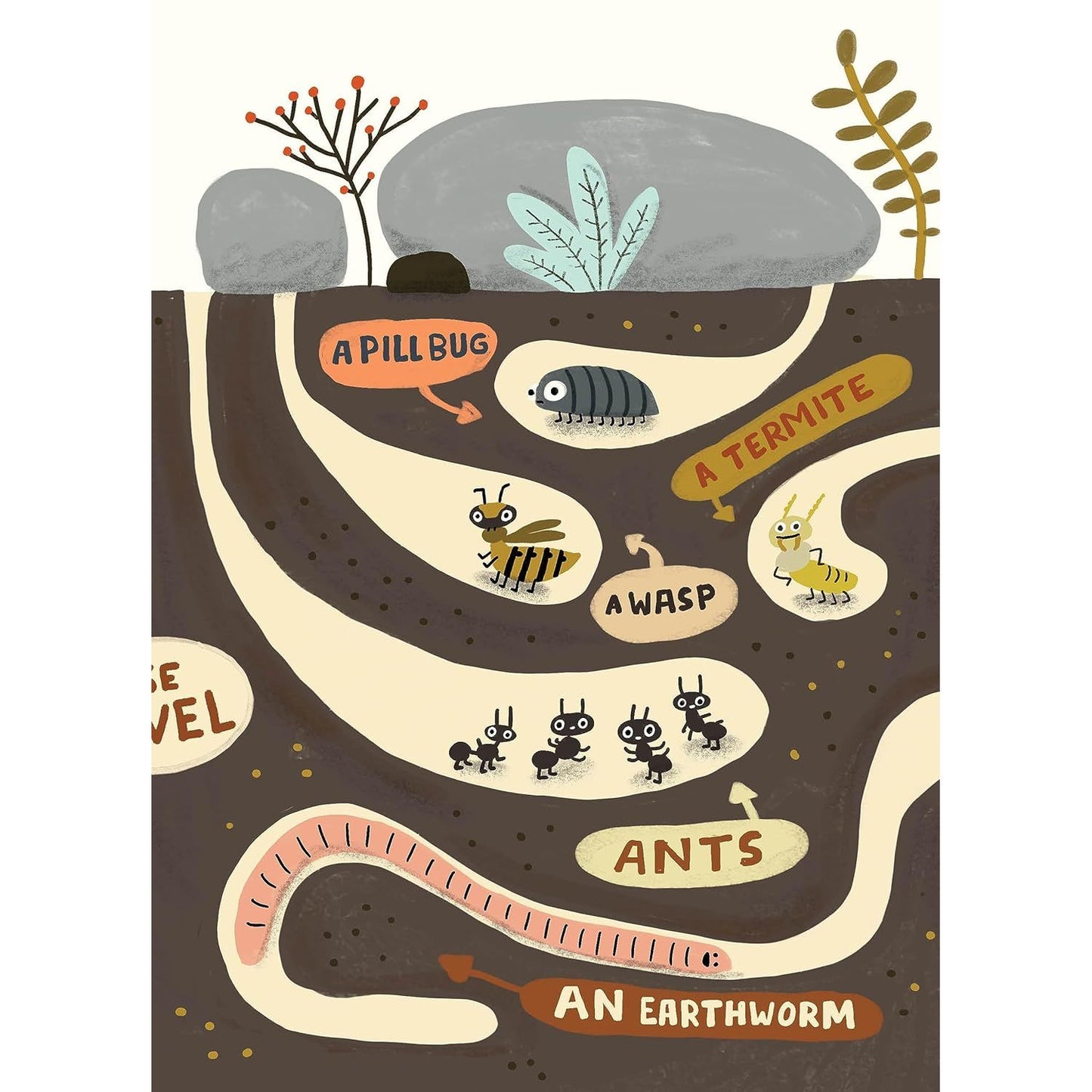 THE BUG CLUB BY ELISE GRAVEL