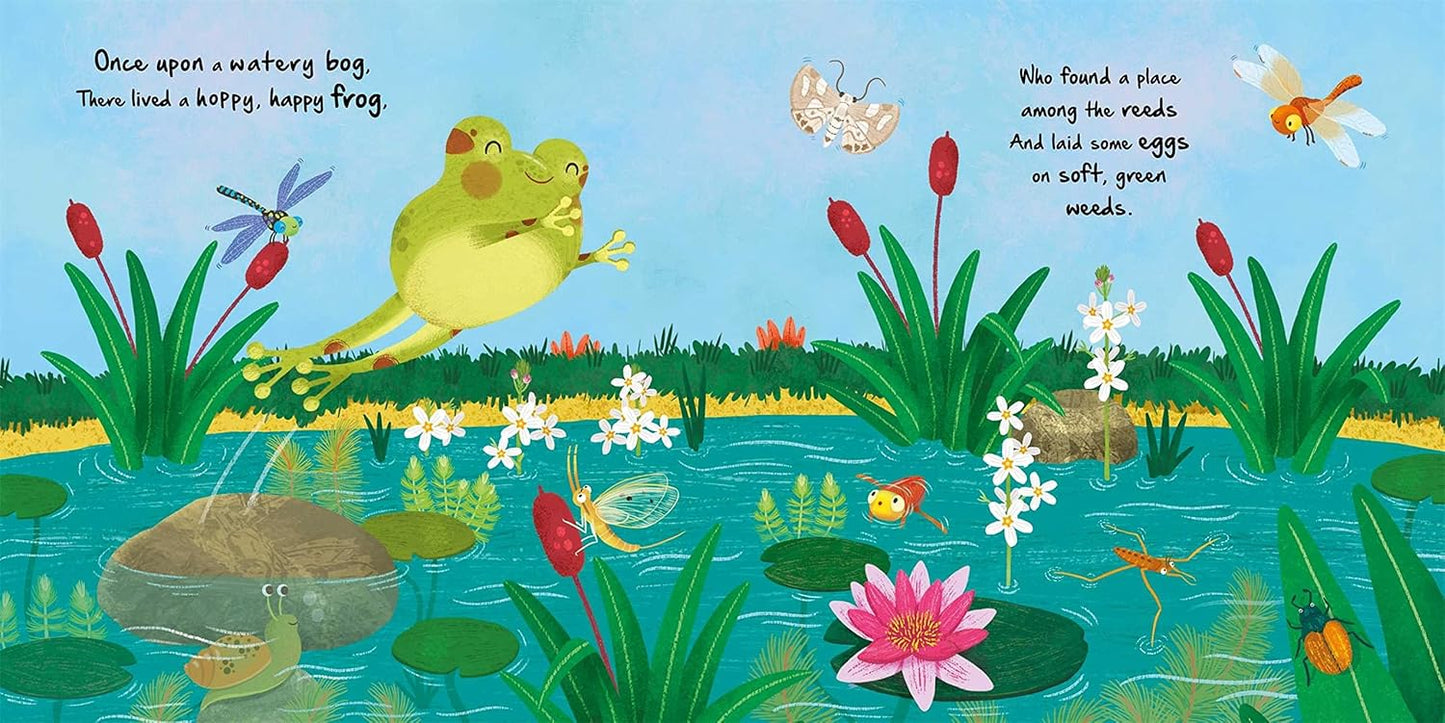 NATURE STORIES: LITTLE FROG BY IGLOOBOOKS AND GISELA BOHÓRQUEZ