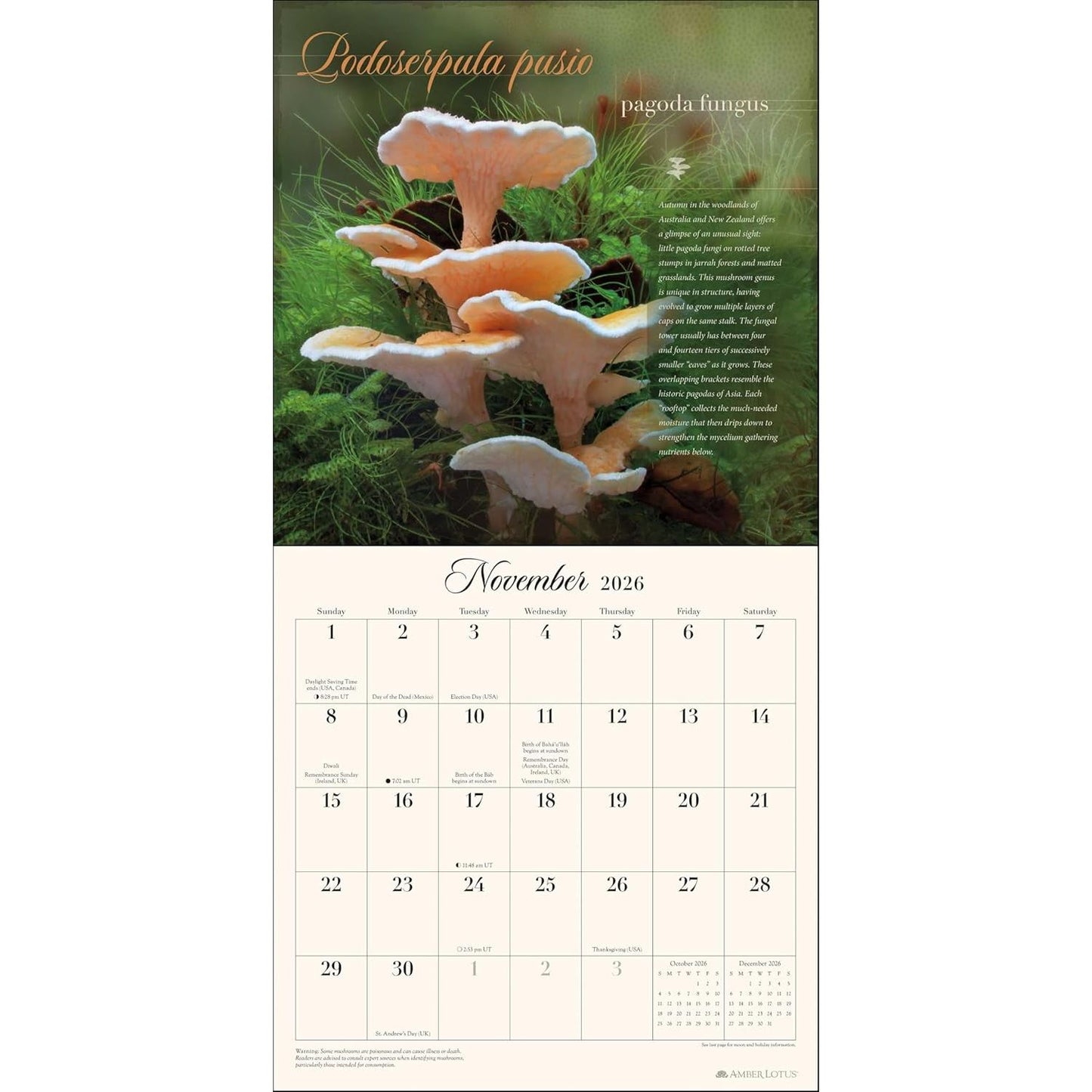 THE MIRACULOUS MUSHROOM WALL CALENDAR 2026