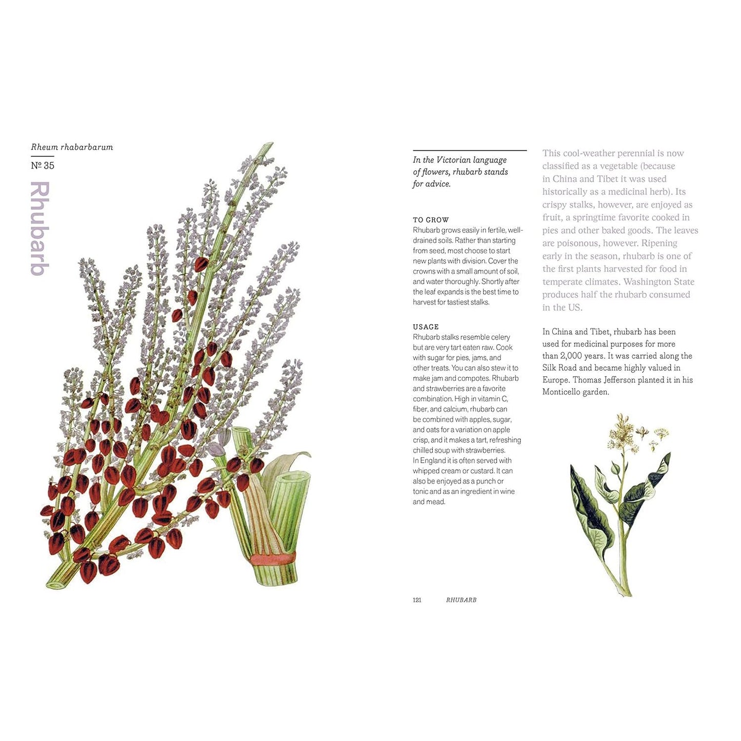 HERBAL HANDBOOK BY THE NEW YORK BOTANICAL GARDEN