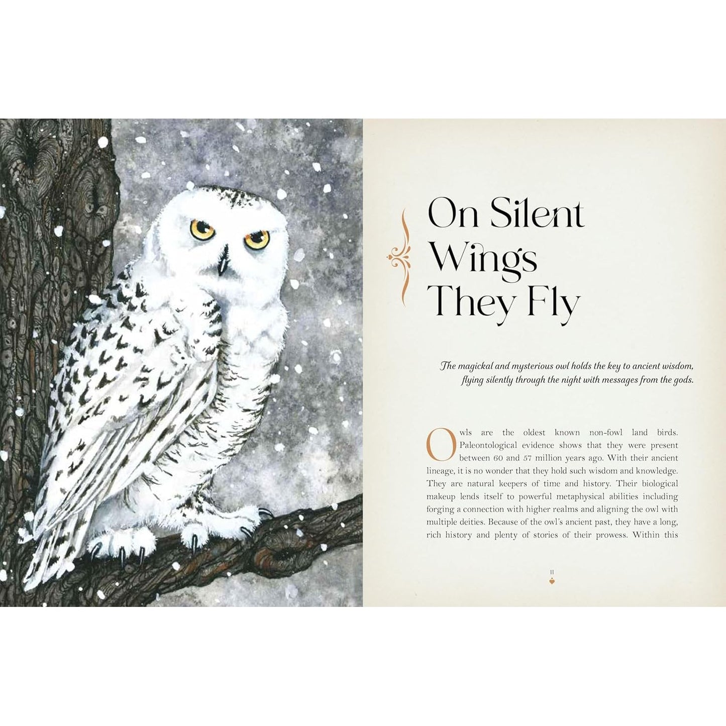 OWL MAGICK BY RIEKA MOONSONG