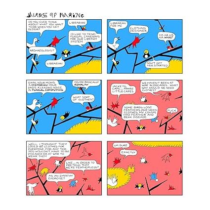 BIRDS OF MAINE GRAPHIC NOVEL