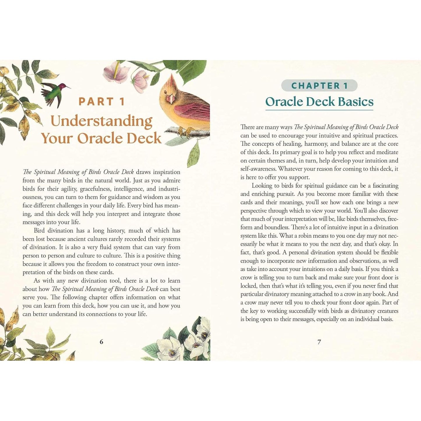 THE SPIRITUAL MEANING OF BIRDS ORACLE DECK