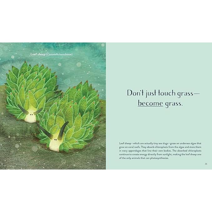 LEAVING THE OCEAN WAS A MISTAKE: LIFE LESSONS FROM SIXTY SEA CREATURES BY CARA GIAIMO ILLUSTRATED BY VLAD STANKOVIC