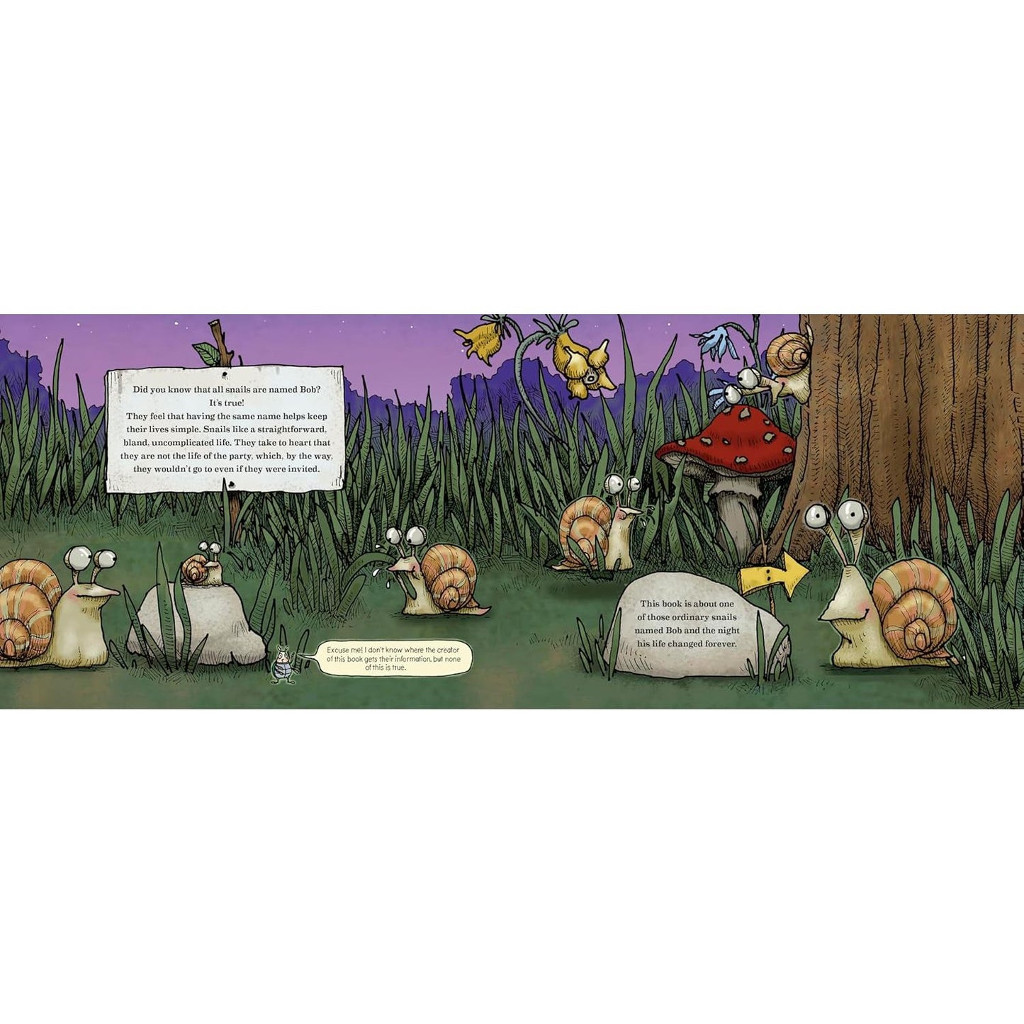 BOB THE VAMPIRE SNAIL BY ANDREA ZUILL