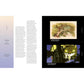 THE WORLDS OF HAYAO MIYAZAKI: THE INFLUENCES AND INSPIRATION BEHIND THE ICONIC FILMS BY NICOLAS RAPOLD