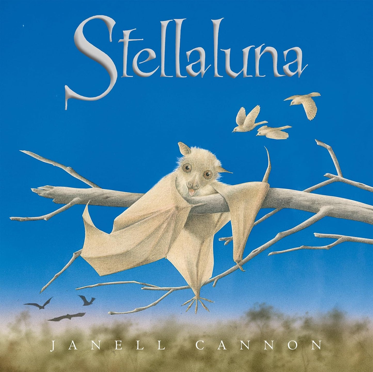 STELLALUNA BY JANELL CANNON