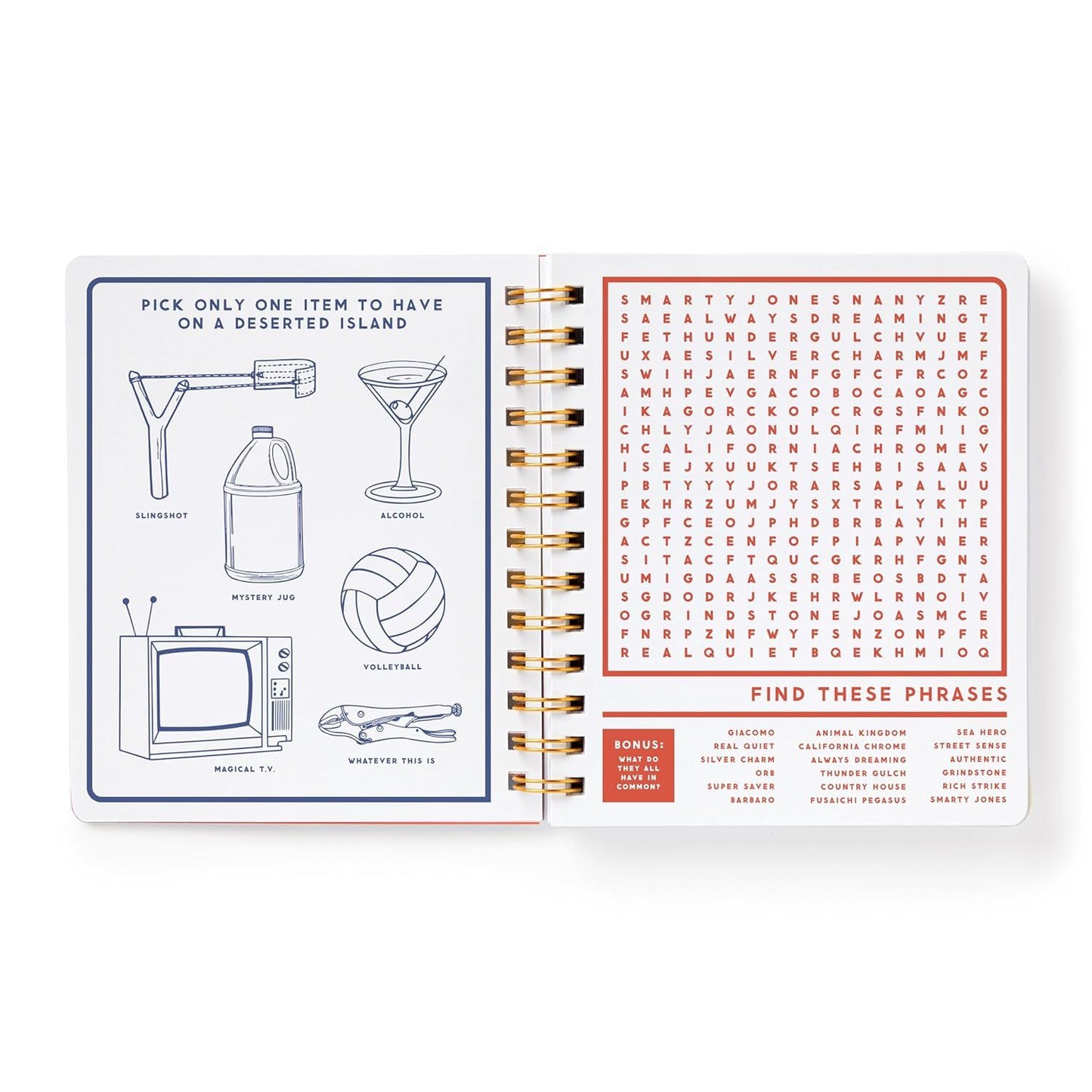 BEYOND BORED: ADULT ACTIVITY BOOK