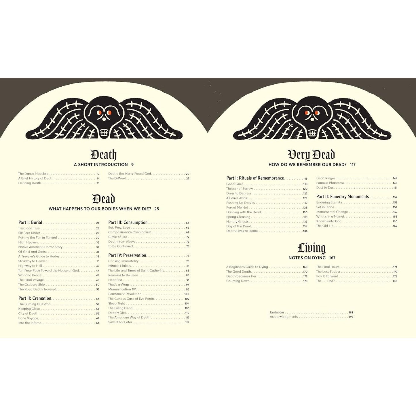 CURIOUS COFFINS AND RIVETING RITUALS: DEATH PRACTICES AROUND THE WORLD BY YY LIAK