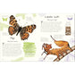 AN ANTHOLOGY OF BUTTERFLIES AND MOTHS: A COLLECTION OF BUTTERFLIES AND MOTHS FROM AROUND THE WORLD BY RICHARD JONES