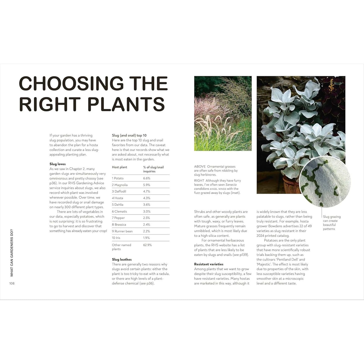 SLUGS: FRIEND OR FOE? BY DR. HAYLEY JONES (DK BOOK)