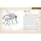 WICKED BUGS BY AMY STEWART