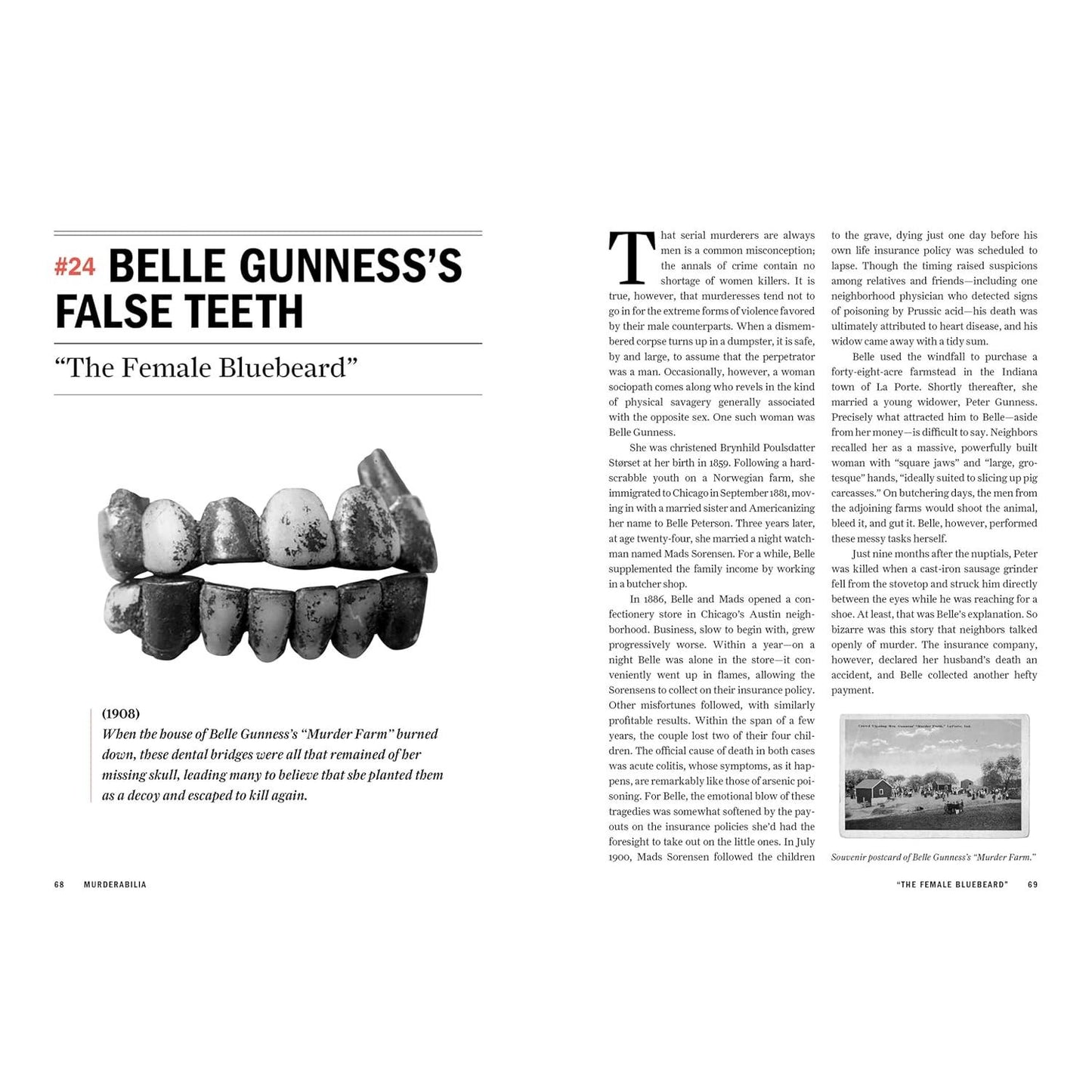 MURDERABILIA: A HISTORY OF CRIME IN 100 OBJECTS BY HAROLD SCHECHTER