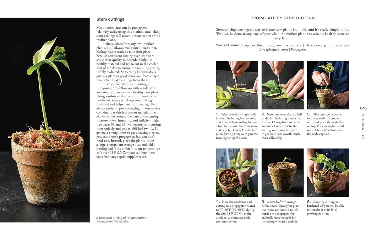 NOT ANOTHER JUNGLE: COMPREHENSIVE CARE FOR EXTRAORDINARY HOUSEPLANTS BY TONY LE-BRITTON