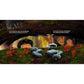ON A MUSHROOM DAY BY CHRIS BAKER AND ALEXANDRA FINKELDAY