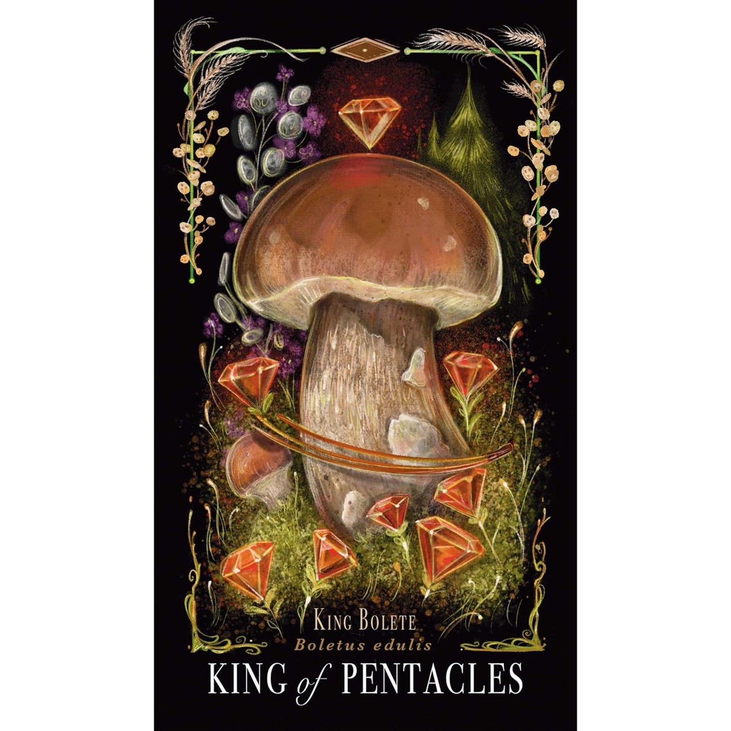 MIDNIGHT MAGIC THE TAROT OF MUSHROOMS