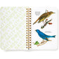 SALTY BIRDS STICKER BOOK