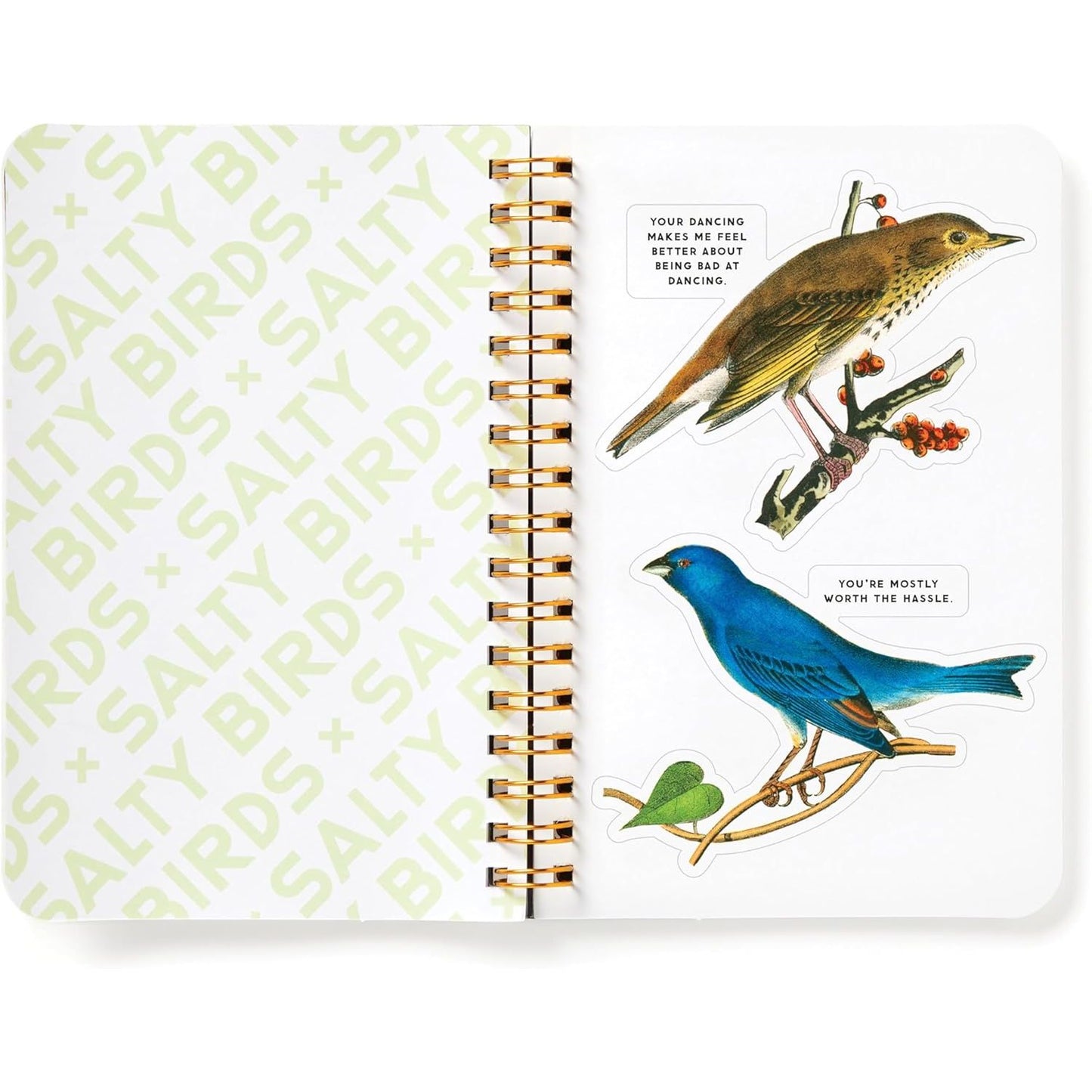 SALTY BIRDS STICKER BOOK