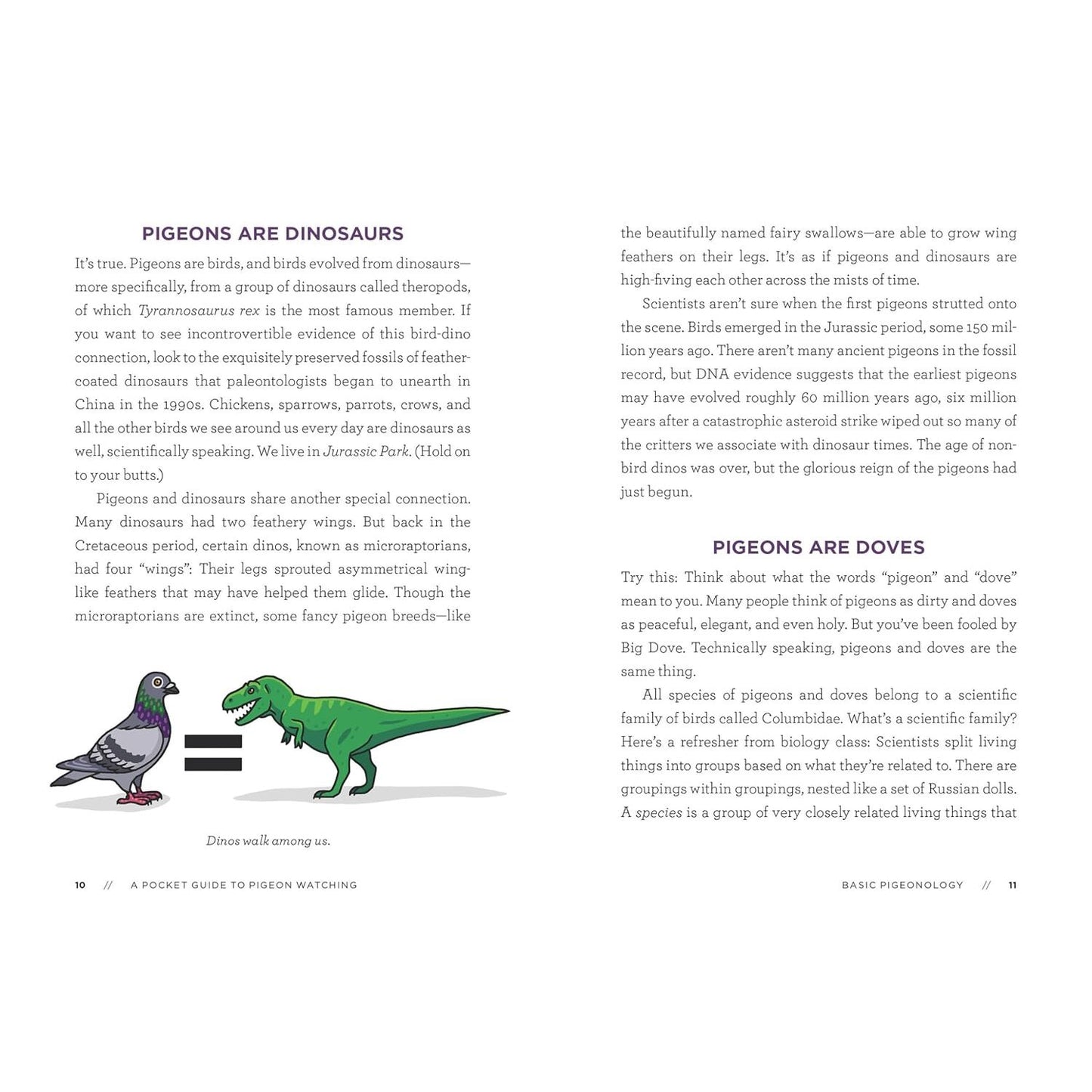 A POCKET GUIDE TO PIGEON WATCHING BY ROSEMARY MOSCO